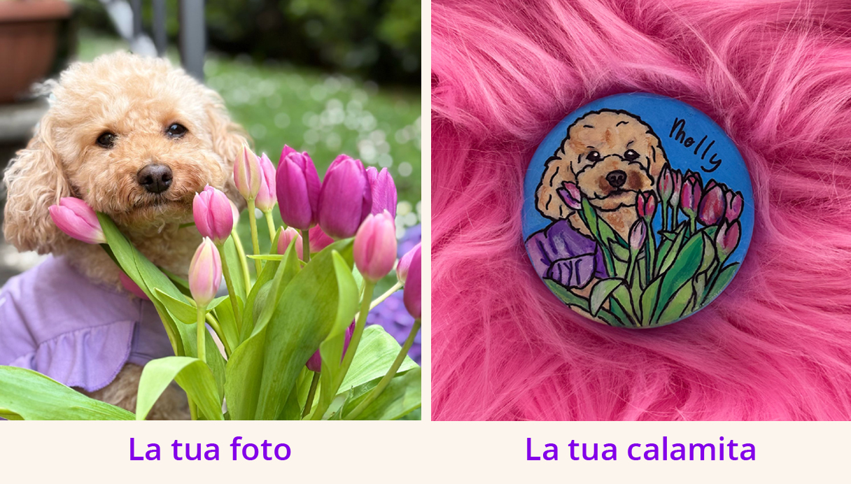 molly calamita giusta